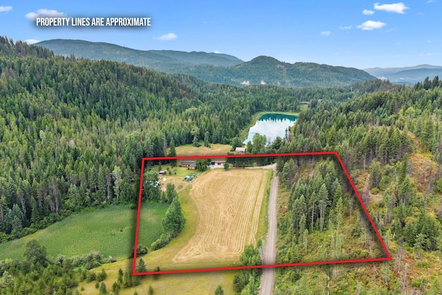 1092 Lime Lake Rd, Metaline Falls, WA 99153 - photo 46