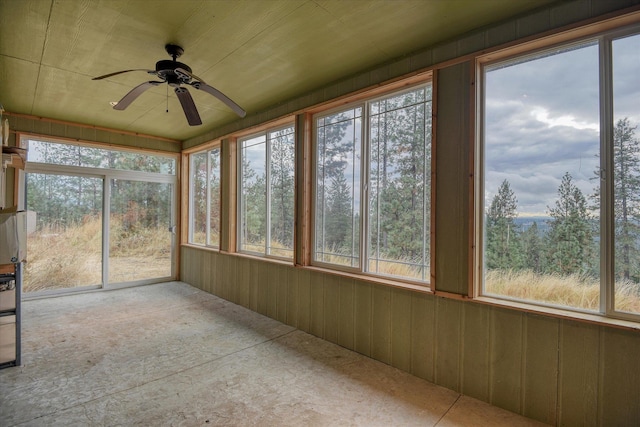 704 Mccammon Rd, Elk, WA 99009 - photo 24