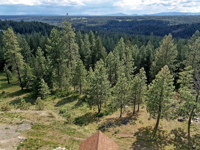 704 Mccammon Rd, Elk, WA 99009 - photo 40