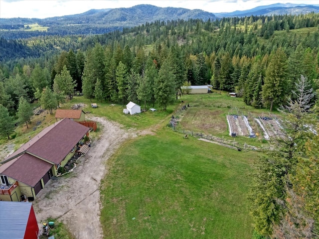 704 Mccammon Rd, Elk, WA 99009 - photo 7