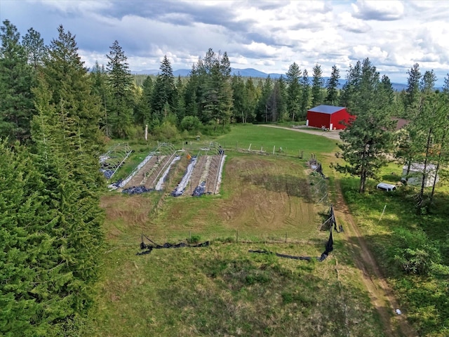 704 Mccammon Rd, Elk, WA 99009 - photo 8