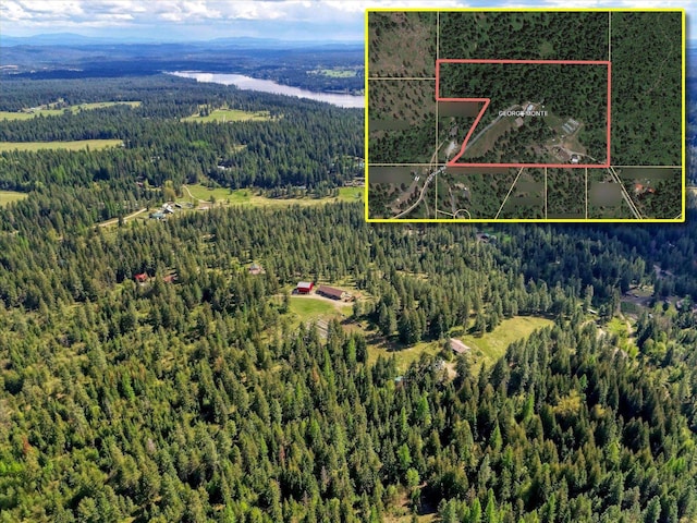 704 Mccammon Rd, Elk, WA 99009 - photo 9