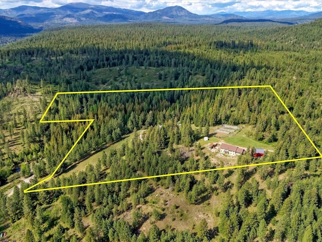 704 Mccammon Rd, Elk, WA 99009 - photo 10