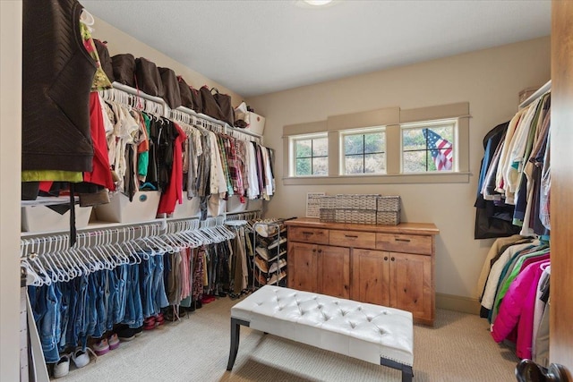 11812 S Fairway Ridge Ln, Spokane, WA 99224 - photo 26