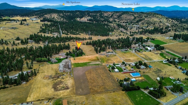 6309 N Harvard Rd, Newman Lake, WA 99025 - photo 45