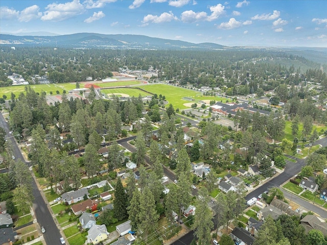 7 E 34th Ave, Spokane, WA 99203 - photo 43