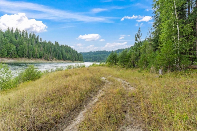 NKA Highway 31, Metaline, WA 99152 - photo 19