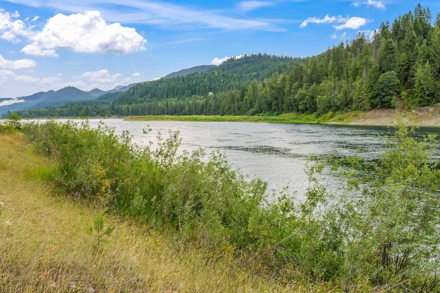 NKA Highway 31, Metaline, WA 99152 - photo 20