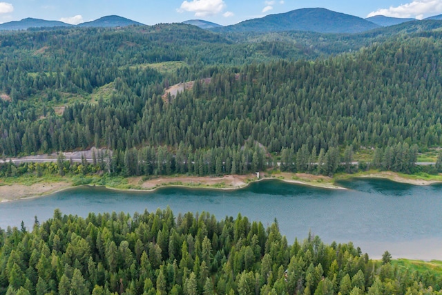 NKA Highway 31, Metaline, WA 99152 - photo 3