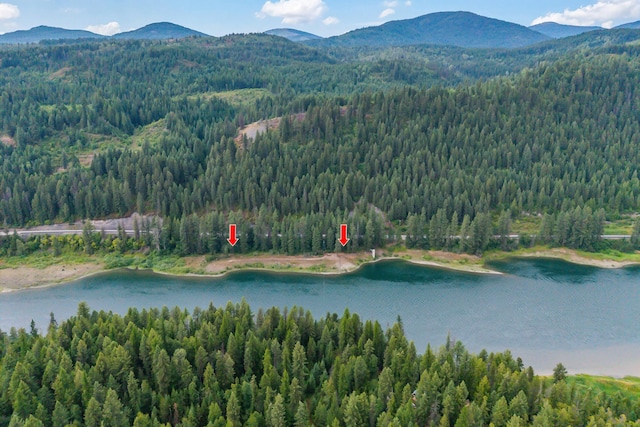 NKA Highway 31, Metaline, WA 99152 - photo 5