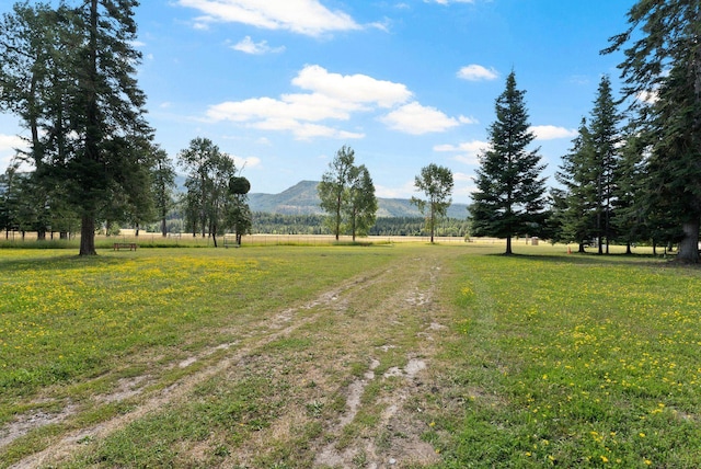 1332 Riverbend Loop Rd, Cusick, WA 99119 - photo 11