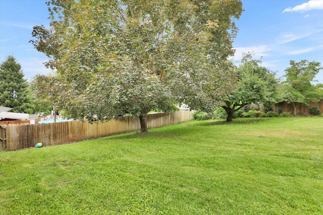 1023 S Adams St, Spokane Valley, WA 99037 - photo 36