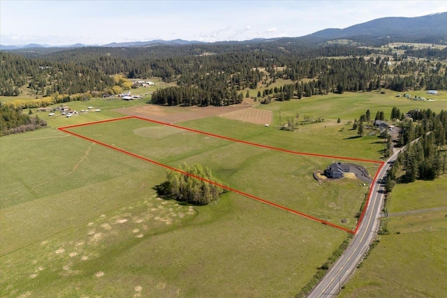 9909 E Tallman Rd, Chattaroy, WA 99003 - photo 2