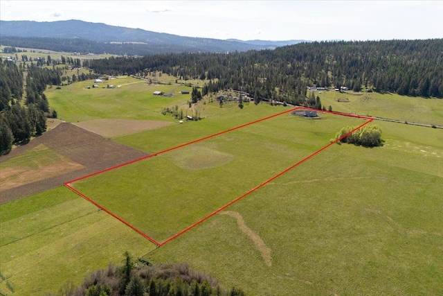 9909 E Tallman Rd, Chattaroy, WA 99003 - photo 28