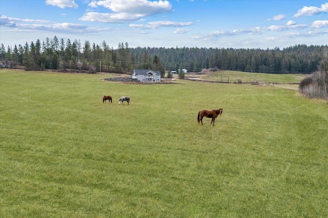 9909 E Tallman Rd, Chattaroy, WA 99003 - photo 30