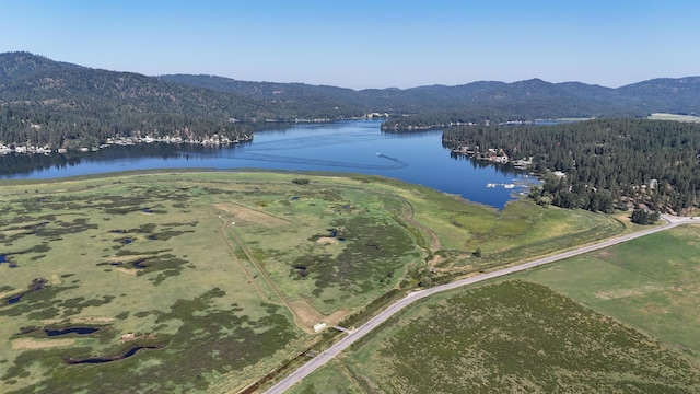 NKA N Mccoy Rd, Newman Lake, WA 99025 - photo 5