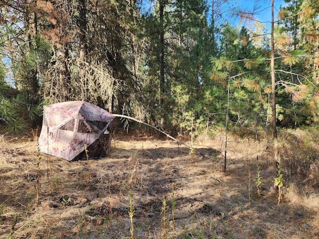 20307 W Sterling Rd Unit Parcel 12312.9018, Cheney, WA 99004 - photo 5