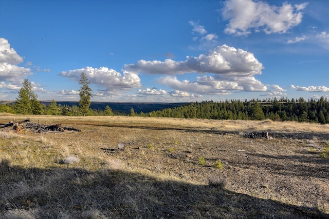 31008 Meadow Ln, Davenport, WA 99122 - photo 34