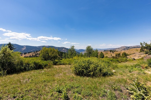 253 White Mountain Rd, Curlew, WA 99118 - photo 34