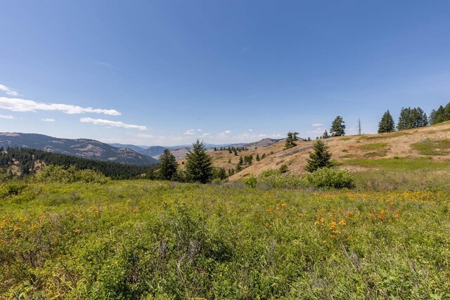 253 White Mountain Rd, Curlew, WA 99118 - photo 36
