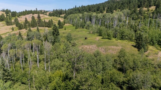 253 White Mountain Rd, Curlew, WA 99118 - photo 43