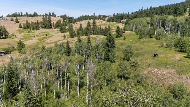 253 White Mountain Rd, Curlew, WA 99118 - photo 44