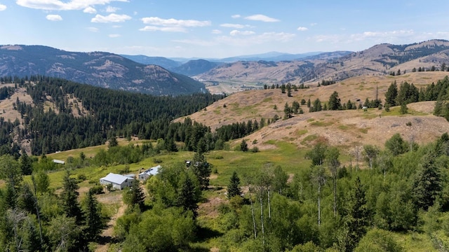 253 White Mountain Rd, Curlew, WA 99118 - photo 45