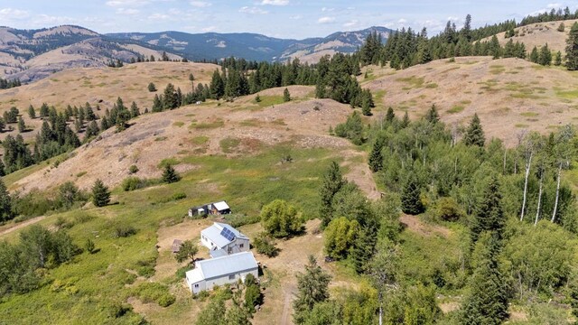 253 White Mountain Rd, Curlew, WA 99118 - photo 46