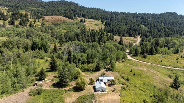 253 White Mountain Rd, Curlew, WA 99118 - photo 47