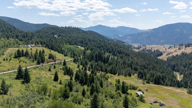 253 White Mountain Rd, Curlew, WA 99118 - photo 48