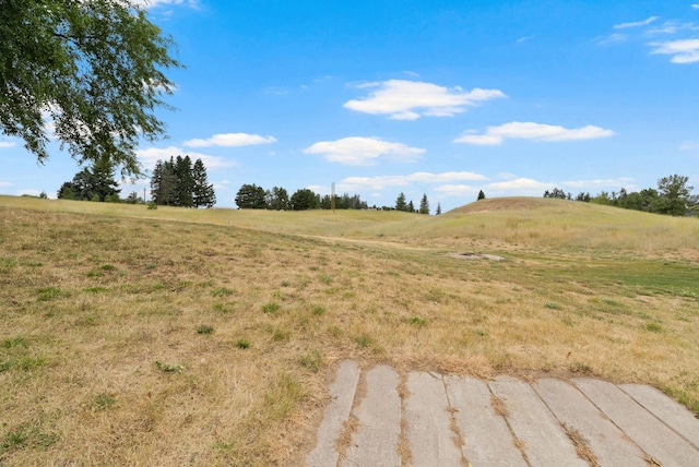 17915 N Dartford Dr, Colbert, WA 99005 - photo 31