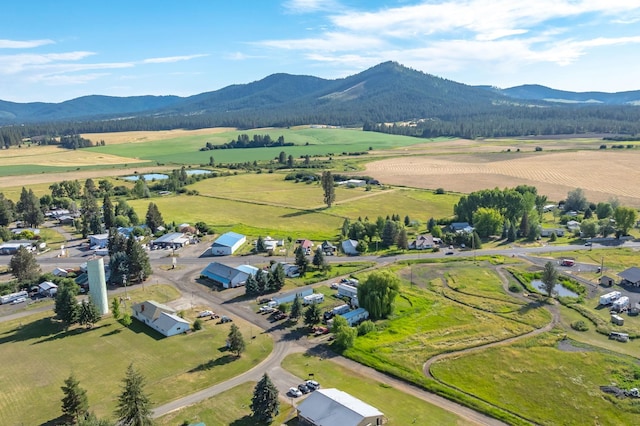 201 N 3rd St, Plummer, ID 83870 - photo 8