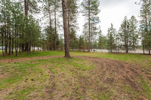 3425 E Denison Chattaroy Rd, Chattaroy, WA 99003 - photo 33