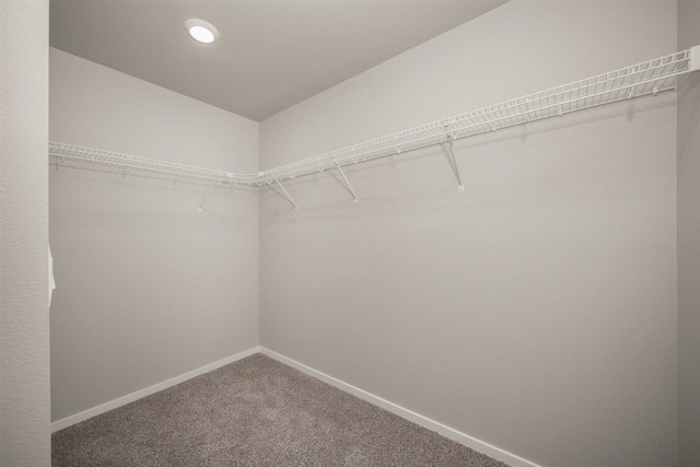 8668 W Red Ave, Cheney, WA 99004 - photo 22