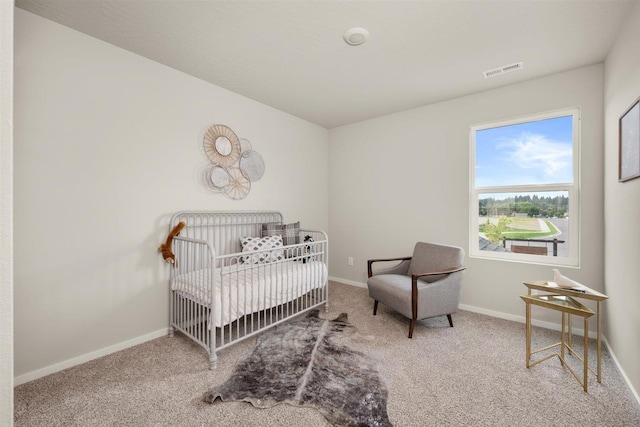 8668 W Red Ave, Cheney, WA 99004 - photo 27