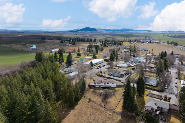147 N Lindsey St, Tekoa, WA 99033 - photo 47