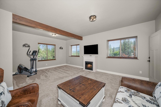 14329 E 39th Ln, Veradale, WA 99037 - photo 33