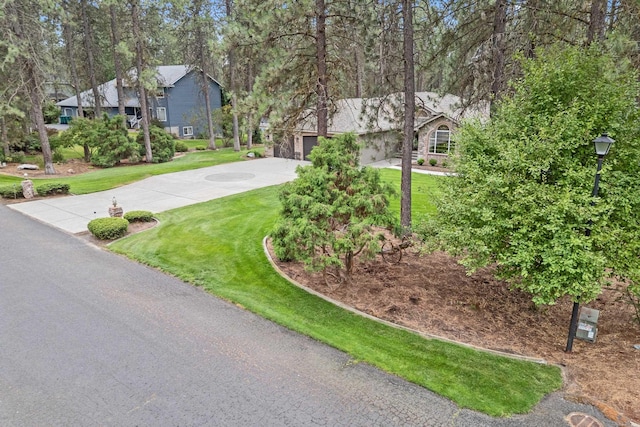 17709 N Ranchette Rd, Colbert, WA 99005 - photo 46