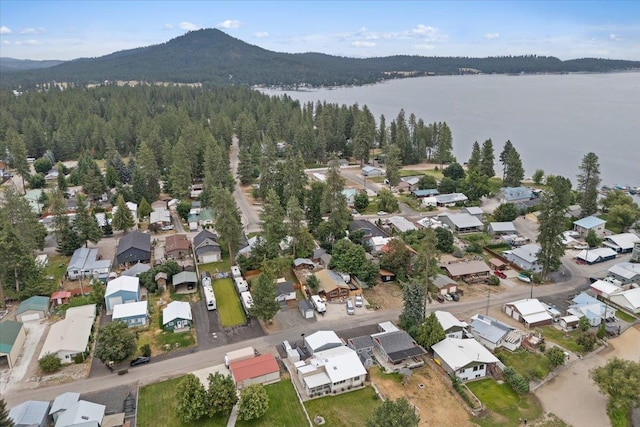 40589 Westline Rd, Loon Lake, WA 99148 - photo 34