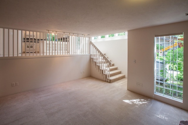 4903 S Hogan St, Spokane, WA 99223 - photo 17