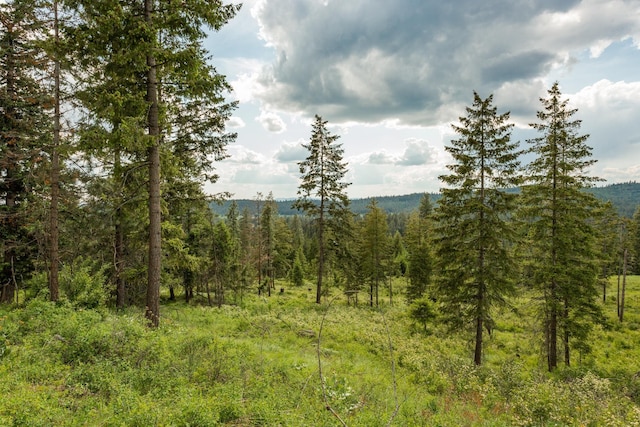 645 Juanita Ln, Elk, WA 99009 - photo 2