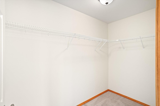 9806 E Princeton Ave, Spokane, WA 99206 - photo 13