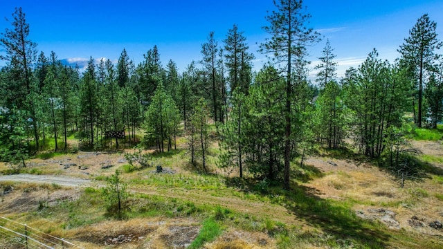XXX S Chapman Rd, Medical Lake, WA 99025 - photo 1