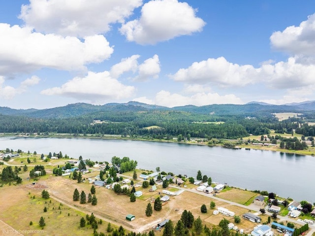191 Open Skies Rd, Newport, WA 99156 - photo 42