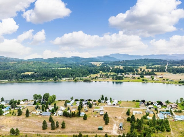191 Open Skies Rd, Newport, WA 99156 - photo 43
