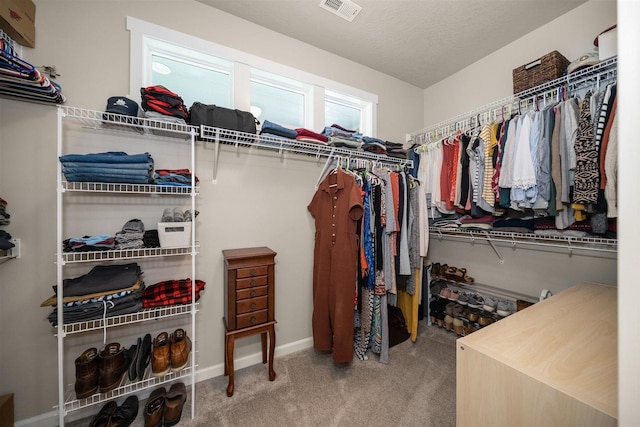 16511 W Rolling Hills Ln, Cheney, WA 99004 - photo 23