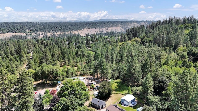 3111 W S Loop Ave, Spokane, WA 99224 - photo 20