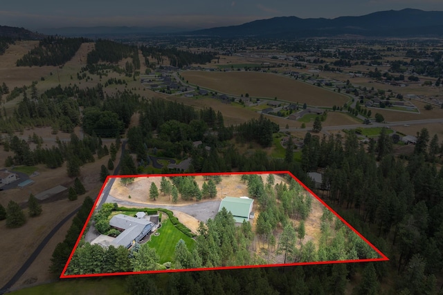 6127 N Campbell Rd, Otis Orchards, WA 99027 - photo 44