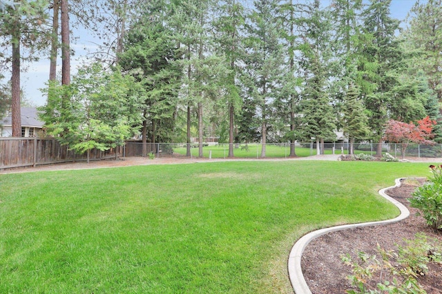510 E Jack Pine Ct, Colbert, WA 99208 - photo 35