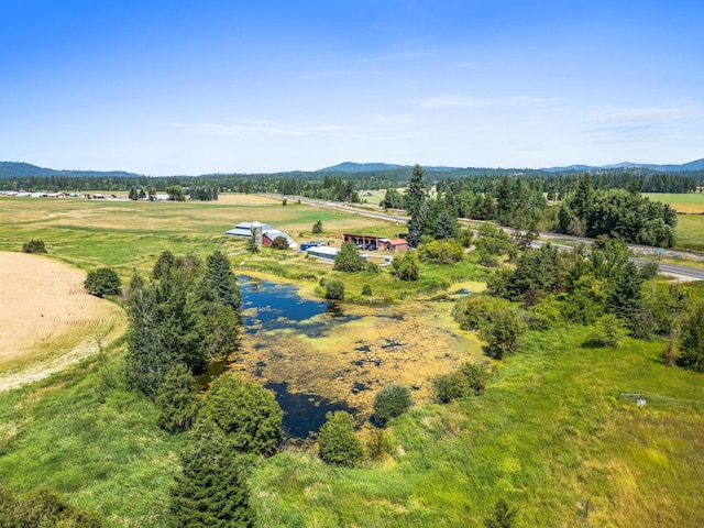 4616 S 395th Hwy, Clayton, WA 99110 - photo 27